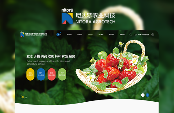 定制网站建设、品牌官网